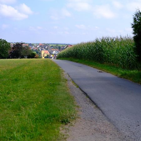 Ferienwohnung Friedrich Michelstadt Esterno foto