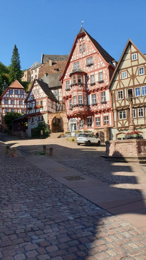 Ferienwohnung Friedrich Michelstadt Esterno foto