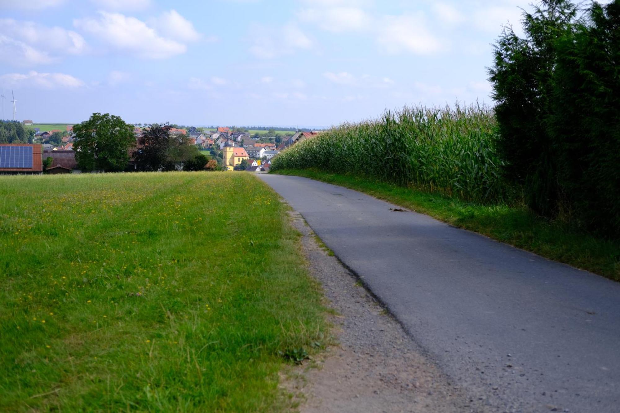 Ferienwohnung Friedrich Michelstadt Esterno foto